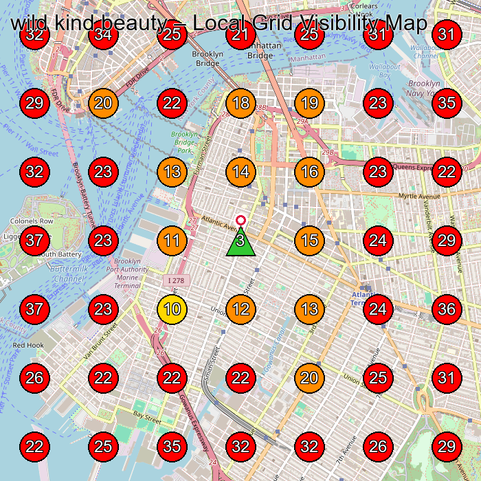 wild kind beauty GeoGrid visibility map for Facial Spa in Brooklyn